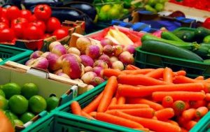 Jasa Pembuatan UD Paket Lengkap di Surabaya